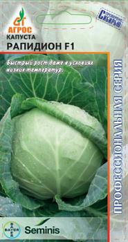 Рапидион