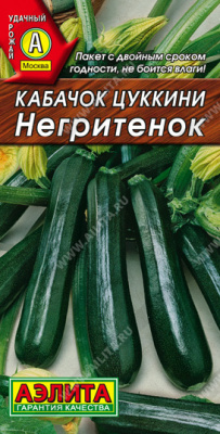 Кабачок негритенок