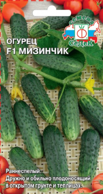 ogurets_mizinchik_f1
