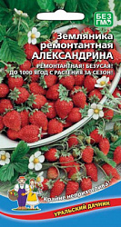 zemlyanika-alpiyskaya-aleksandriya