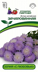 АСТРА КИТАЙСКАЯ ЗАЧАРОВАННАЯ