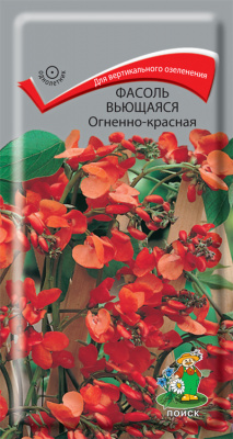 Фасоль вьющаяся Огненно-красная