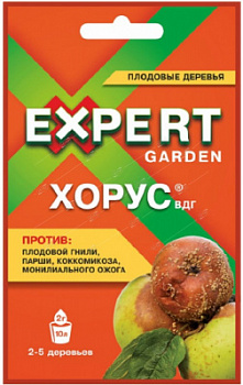 00000016493_1