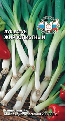 luk_zhirnolistnyy