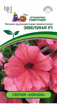 Петуния эвелина