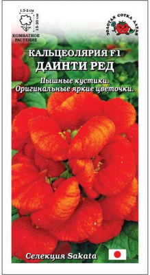 Кальцеолярия даинти ред