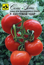 tomat_kistevoj_udar_p
