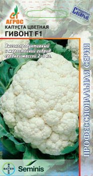 Гивонт