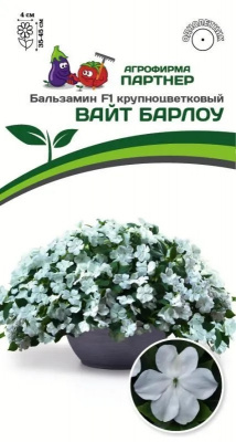 Бальзамин Вайт барлоу