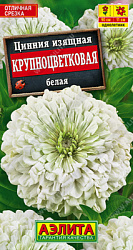 Цинния Крупноцветковая белая