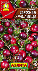 Клюква крупноплодная Таежная красавица_ЦП