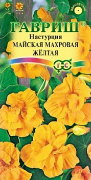 Настурцмя майская махр желтая