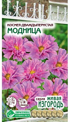 Модница