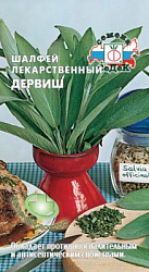 shalfey_lekarstvennyy_dervish