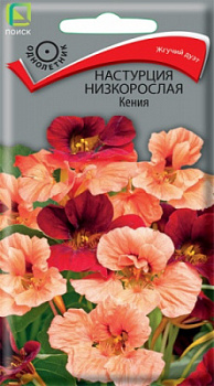 nasturtsiya_nizkoroslaya_keniya