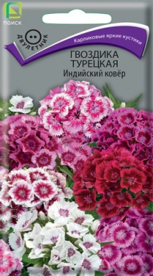 Гвоздика Турецкая Индийский ковёр