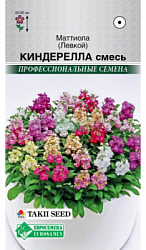Маттиола Киндерелла