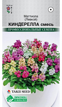 Маттиола Киндерелла