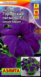 Петуния Городские гиганты синий бархат