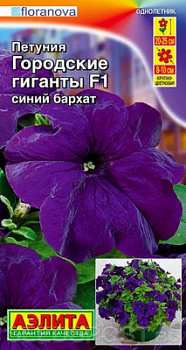 Петуния Городские гиганты синий бархат