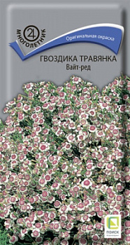 gvozdika_travyanka_vait_red