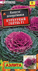 Капуста дек Пурпурный голубь