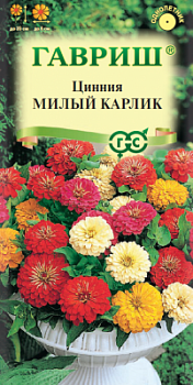 Цинния Милый карлик