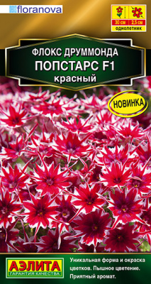 Флокс друммонда Попстарс F1 красный_ЦП