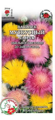 Василек мускусный