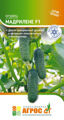 Огурец Мадрилене F1gNV0011444d-st