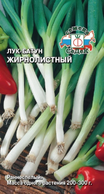 luk_zhirnolistnyy