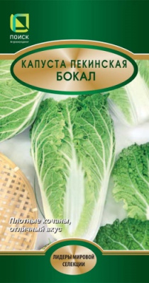 kapusta_pekin_bokal