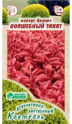 Колуес Волшебный закат