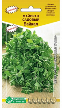 Майоран Байкал