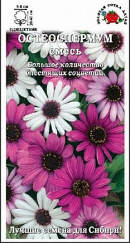 ЦБ-00000450_1