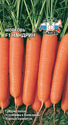 morkov_nandrin_f1