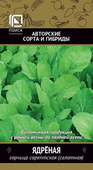 gorchica_salatnaya_yadrenaya