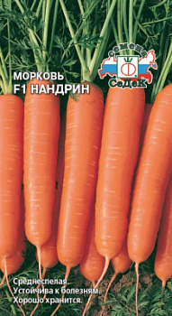 morkov_nandrin_f1
