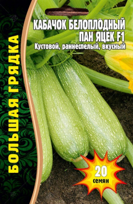 Пан яцек