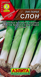 Лук Слон