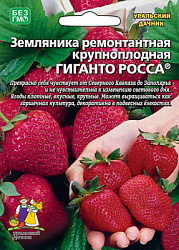 zemlyanika-remontantnaya-krupnoplodnaya-giganto-rossa