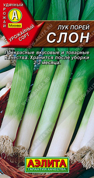 Лук Слон