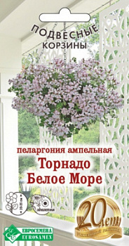 Пеларгония ампельная Торнадо Белое Море
