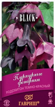 Родохитон