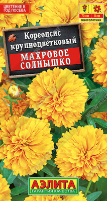Кореопсис Махровое солнышко