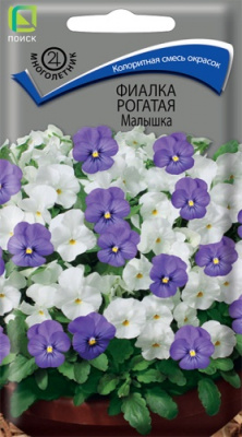 fialka_rogataya_malyshka