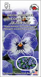 Виола сорбет дельф блу