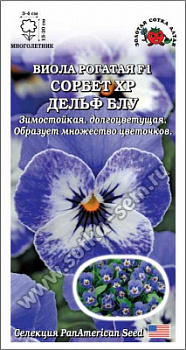 Виола сорбет дельф блу
