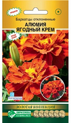 Бархатцы Ягодный Крем