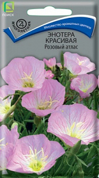 Энотера красивая Розовый атлас